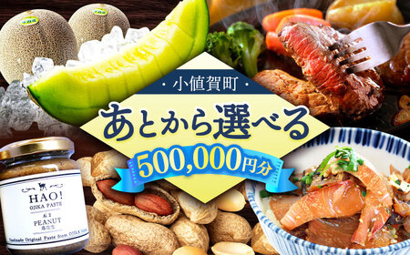 [あとから選べる]小値賀町 ふるさとギフト 50万円分 / あとから選べる あとから寄附 あとからギフト 後から選べる 後から あとからセレクト 駆け込み 先に寄附 50万円 500000円 長崎県 小値賀 