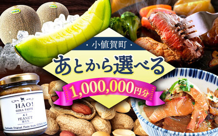 [あとから選べる]小値賀町 ふるさとギフト 100万円分 / あとから選べる あとから寄附 あとからギフト 後から選べる あとからセレクト 後から 駆け込み 先に寄附 100万円 長崎県 小値賀 