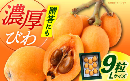 �y��s�\��z �т� L�T�C�Y �y2026�N6�������z�y���ϔ�����z�y�_��_���z[DBT004] �т�