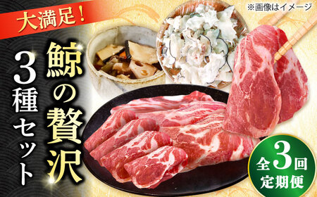 3回定期便 厳選!3種鯨定期便 鯨 鯨 鯨 