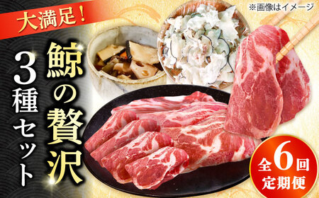 6回定期便 厳選!3種鯨定期便 [DBM019] 鯨 鯨 鯨 鯨