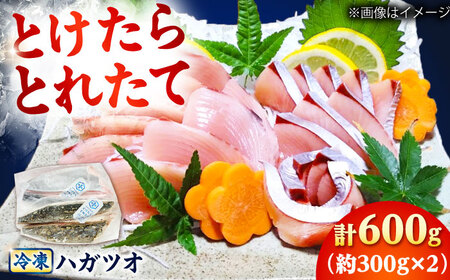 [とけたらとれたて] ハガツオ(下処理・瞬間冷凍済) 生・炙り食べ比べセット計600g以上(各300g 2パック) 鰹 かつお 