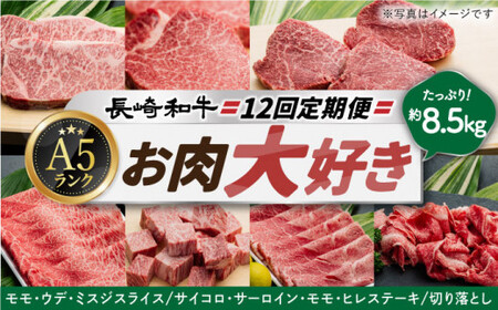 [12回定期便]長崎和牛 シルバーコース[肉のあいかわ][DAR039]/ 牛肉定期便 牛 肉 12回 贅沢和牛コース 贅沢 お楽しみ和牛 長崎和牛 お楽しみ 人気 人気