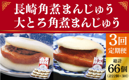 [3回定期便]長崎角煮まんじゅう 12個・ 大とろ角煮まんじゅう 10個 [DBG013] 角煮まんじゅう 角煮まんじゅう セット 角煮饅頭 角煮饅頭 セット 定期便