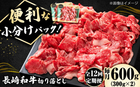 【12回定期便】小分け! 長崎和牛 切り落とし (300g×2)  [DBL025]