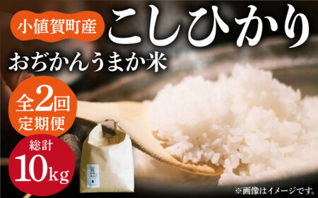 [令和6年度産新米][2回定期便] 小値賀町産 こしひかり 10kg (5kg×2回) おぢかんうまか 米 白米 [しまうま商会][DAB038]/ 長崎 お米 こめ 精米 コシヒカリ 5キロ