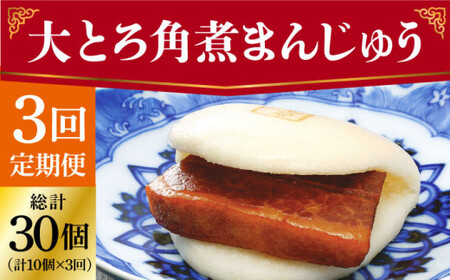 [全3回定期便] 長崎 大とろ角煮まんじゅう 10個 [DBG043] 角煮まんじゅう 角煮まんじゅう 角煮饅頭 角煮饅頭