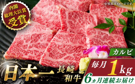 yS6ցzaJr v6.0kg (1.0kg×6)yȂC_Ƌgz[QAK028]