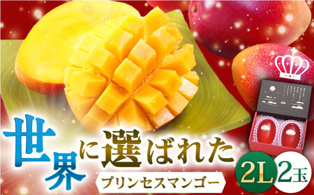 [先行予約] プリンセスマンゴー 2L×2玉 マンゴー マンゴー マンゴー マンゴー マンゴー