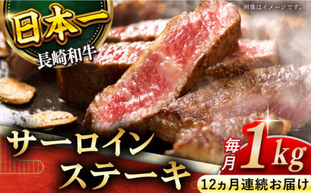 yS12ցzuɌIva T[C Xe[L v12.0kg (1.0kg/)yz[QBD046]