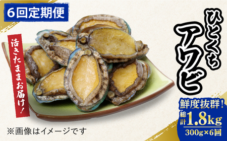 【全6回定期便】上五島産養殖ひとくちアワビ 活 厳選 300g 刺身 ステーキ 生[RAE016] アワビ あわび 定期便 アワビ あわび 定期便 アワビ あわび 定期便九州 長崎