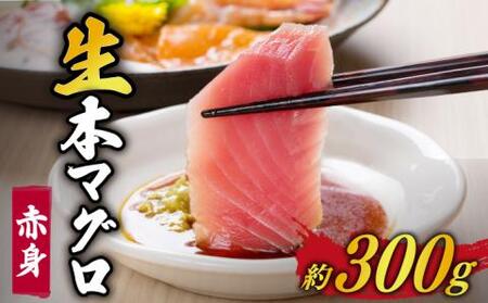 五島列島産養殖生本かみマグロ 赤身300g マグロ まぐろ 鮪 刺身 [カミティバリュー][RBP001] 本マグロ 本まぐろ 本マグロ 本まぐろ 本マグロ 本まぐろ 本マグロ 本まぐろ 本マグロ 本まぐろ