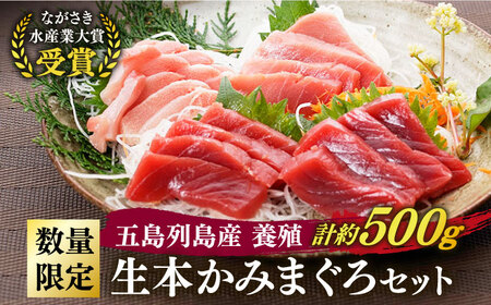 五島列島産養殖生本かみマグロ 赤身 中トロ 大トロ 計約500g [カミティバリュー][RBP004] 本マグロ 本まぐろ 本マグロ 本まぐろ 本マグロ 本まぐろ 本マグロ 本まぐろ 本マグロ 本まぐろ