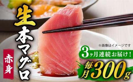 [全3回定期便]五島列島産養殖生本かみマグロ 赤身 300g [カミティバリュー][RBP023] 本マグロ 本まぐろ 本鮪 本マグロ 本まぐろ 本鮪 本マグロ 本まぐろ 本鮪 本マグロ 本まぐろ 本鮪