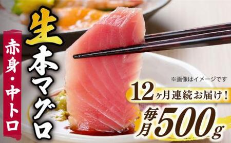 yS12ցzܓ񓇎Y{B{݃}O Ԑg g v500g[RBP031] {}O {܂ { {}O {܂ { {}O {܂ {B 