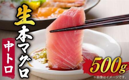 五島列島産養殖生本かみまぐろ 中トロ 刺身 500g[RBP051] 本マグロ 本まぐろ 本マグロ 本まぐろ 本マグロ 本まぐろ 本マグロ 本まぐろ 本マグロ 本まぐろ九州 長崎