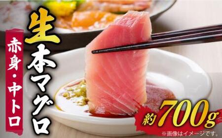 五島列島産養殖生本かみまぐろ 赤身 中トロ 刺身 計約700g[カミティバリュー][RBP052] 本マグロ 本まぐろ 本マグロ 本まぐろ 本マグロ 本まぐろ 本マグロ 本まぐろ 本マグロ 本まぐろ