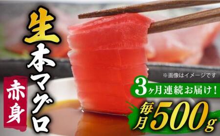 [全3回定期便]五島列島産養殖生本かみまぐろ 赤身 500g[カミティバリュー][RBP061] 本マグロ 本まぐろ 定期便 本マグロ 本まぐろ 定期便 本マグロ 本まぐろ 定期便