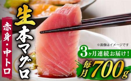 [全3回定期便]五島列島産養殖生本かみまぐろ 赤身 中トロ 計約700g[カミティバリュー][RBP067] 本マグロ 本まぐろ 定期便 本マグロ 本まぐろ 定期便 本マグロ 本まぐろ 定期便