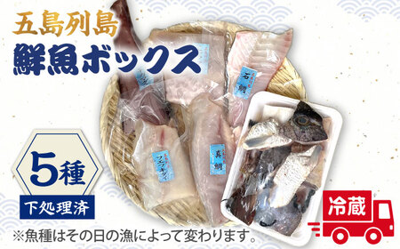 [下処理済_冷蔵]五島列島鮮魚ボックス5種[ShiningFoods][RBR001] 鮮魚 鮮魚セット 魚 鮮魚 鮮魚セット 魚 鮮魚 鮮魚セット 魚 鮮魚 鮮魚セット 魚 鮮魚 鮮魚セット 魚