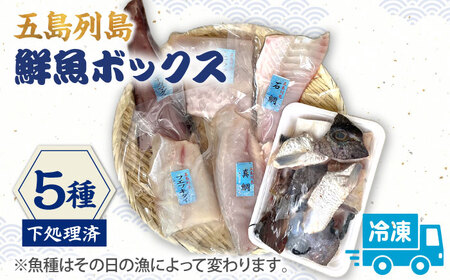 [下処理済_冷凍]五島列島鮮魚ボックス5種[ShiningFoods][RBR002] 鮮魚 鮮魚セット 魚 鮮魚 鮮魚セット 魚 鮮魚 鮮魚セット 魚 鮮魚 鮮魚セット 魚 鮮魚 鮮魚セット 魚