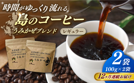 [全12回定期便]Fuuki Coffee Roaster Coffee Beans うみかぜブレンド2パック[冨喜][RBO025] コーヒー 珈琲 コーヒー 珈琲 コーヒー 珈琲 コーヒー 珈琲