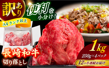 yS12ցzaioAA[X̂ꂩj1kg ؂藎Ƃ 250g×4P[RCE013] a ؂藎Ƃ  a ؂藎Ƃ ֋B 