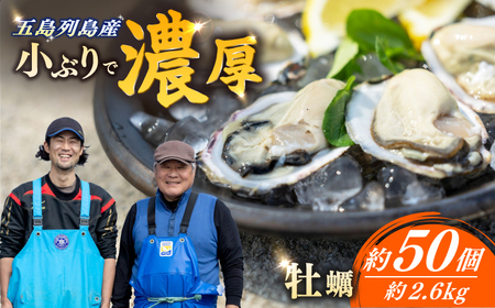 {BJL 2.6kg 50 [RCN002] y y y y y yB 