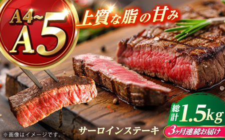 [全3回定期便] 長崎和牛 サーロイン ステーキ 250g×2 [KRAZY MEAT] A5 A4 冷凍 和牛 肉 牛肉 BBQ