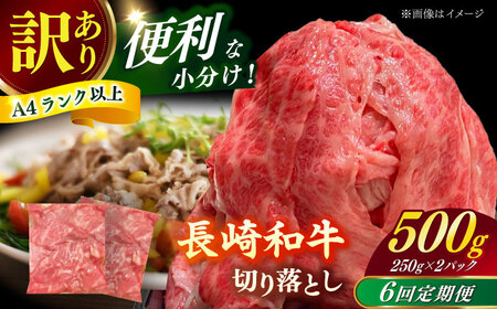 yS6ցziy󂠂zaioAA[X̂ꂩj500g ؂藎Ƃ 250g×2P  yЎz[RCE023]