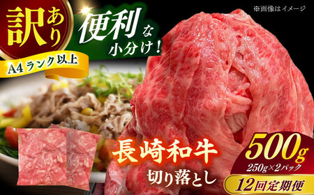 yS12ցziy󂠂zaioAA[X̂ꂩj500g ؂藎Ƃ 250g×2P  yЎz[RCE024]
