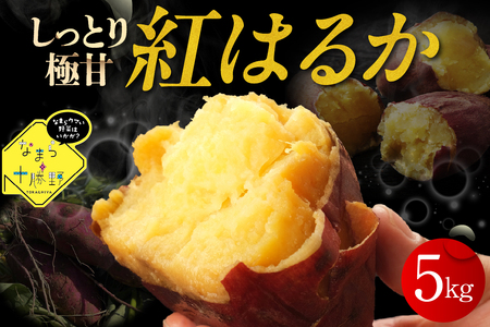 北海道十勝芽室町 なまら十勝野 芽室町産さつまいも[紅はるか]5kg なまら十勝野 芽室町産 さつまいも[紅はるか]5kg 国産 北海道産 さつま芋 野菜 常温配送 送料無料 北海道 十勝 芽室町me001-029c