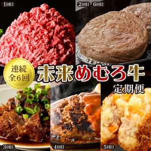 [全6回定期便]未来めむろ牛定期便 牛肉 ビーフ ひき肉 挽肉 ステーキ 煮込み 牛すじ煮込み ハンバーグ コロッケ北海道 芽室町 me000-031-t6c