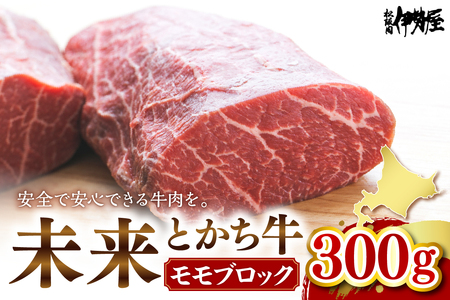 北海道十勝芽室町 未来とかち牛モモブロック 300g 北海道 牛肉 ビーフ ステーキ サーロイン 芽室町 me073-006c