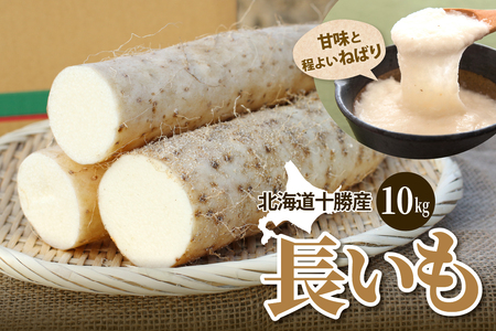 r[Ly[{IkC\莺 t@[E~I̒@10s@   Ƃ  kC \ 莺   me016-013c