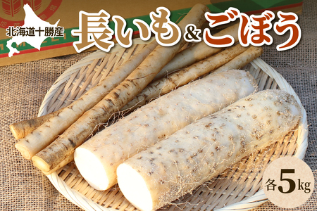 北海道十勝芽室町 ファーム・ミリオンの長芋ごぼうセット 10kg 長芋 長いも とろろ 芋 ごぼう ゴボウ 根菜 野菜 北海道 十勝 芽室町 送料無料 お取り寄せ me016-014c