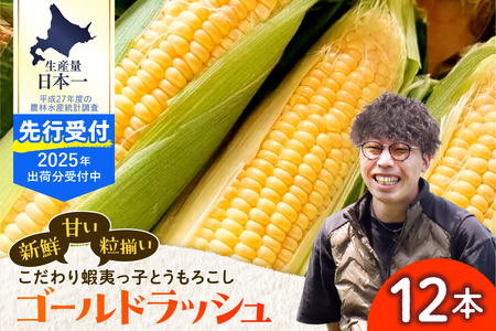 レビューキャンペーン実施中！【2025年先行受付】朝採りをお届け！ 北海道十勝芽室町　蝦夷っ子とうもろこし ゴールドラッシュ 12本 スイートコーン ゴールドラッシュ キャンプ飯 BBQ ソロキャン人気 トウモロコシ 生 野菜 北海道 十勝 芽室町 送料無料 お取り寄せ me076-009c-25