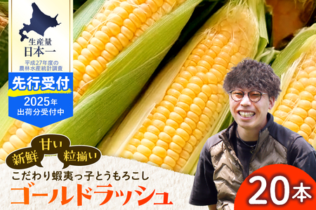 レビューキャンペーン実施中！【2025年先行受付】朝採りをお届け！ 北海道十勝芽室町　蝦夷っ子とうもろこし ゴールドラッシュ 20本 スイートコーン ゴールドラッシュ キャンプ飯 BBQ ソロキャン人気 トウモロコシ 生 野菜 北海道 十勝 芽室町 送料無料 お取り寄せ me076-010c-25