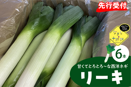 レビューキャンペーン実施中![先行受付][2025年11月より発送]北海道十勝芽室町 なまら十勝野の鳥本農場リーキ 6本 ネギ 西洋ネギ ねぎ 甘い ステーキme001-046c