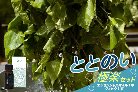 レビューキャンペーン実施中!北海道十勝芽室町 ととのい極楽セット(エッセンシャルオイル1本×ヴィヒタ1本)アロマオイル アロマ オイル マッサージ 安眠 ウッド 自然 天然 国産 いろどりファーム 1束20本前後 サウナグッズ バスグッズ ビヒタ 健康 森林浴 インテリア スワッグ 装飾 北海道 十勝 芽室町me000-033c