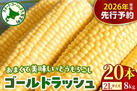 ystzy2026N8{`8{zzkC\莺 Ƃ낱 S[hbV 2LTCY 20{Zbg Lv BBQ \LlC gERV   kC \ 莺