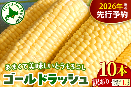 [先行受付][2026年8月上旬〜8月下旬頃配送][訳あり]北海道十勝芽室町 とうもろこし ゴールドラッシュ Lサイズ 10本セット キャンプ飯 BBQ ソロキャン人気 トウモロコシ 生 野菜 北海道 十勝 芽室町 送料無料 お取り寄せ me078-006c-26