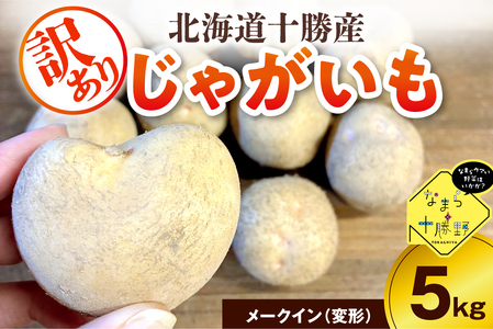 レビューキャンペーン実施中![訳あり]北海道十勝芽室町 農家応援じゃがいも メークイン(変形)5kg ジャガイモ じゃがいも 産地直送 おすすめ 北海道十勝 芽室町 me001-050c-2