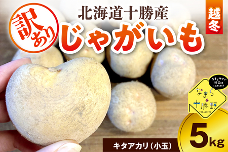 レビューキャンペーン実施中![訳あり]北海道十勝芽室町 農家応援じゃがいも(越冬)5kg キタアカリ(小玉)ジャガイモ じゃがいも 産地直送 おすすめ 北海道十勝 芽室町 me001-051c-1