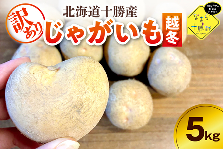 r[Ly[{Iy󂠂zkC\莺 _ƉႪ(z~)5s@[NCiό`jWKC Ⴊ Yn  kC\ 莺 me001-051c-2