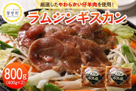 y2026N1ȍ~oׁzkC\莺 ~[gVbvvۂ̃WMXJ800g(400g×2܁j me006-005c