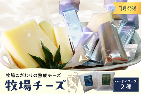 1月発送 北海道十勝芽室町 牧場チーズ2種類セット チーズ cheese ハードチーズ ゴーダチーズ 熟成チーズ 手作り お取り寄せ おつまみ アレンジ me020-005c-1