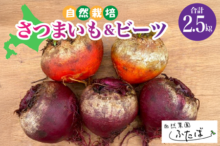 y2菇zkC\莺@R؉ӂ΁@F̂܂ƃr[cZbg@2.5kg@me074-009c