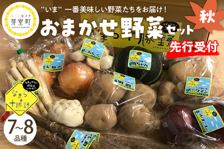 北海道十勝芽室町 なまら十勝野の季節のおまかせ野菜セット(秋)野菜 やさい おまかせ 詰め合わせ 詰合せ me001-004c