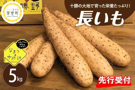 [先行受付][12月中旬以降発送]なまら十勝野の 長いも 5kg ふわとろ焼きレシピ付 北海道 十勝 芽室町me001-010c